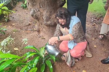 Tree Planation 2